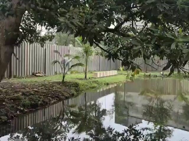 Video Image 1