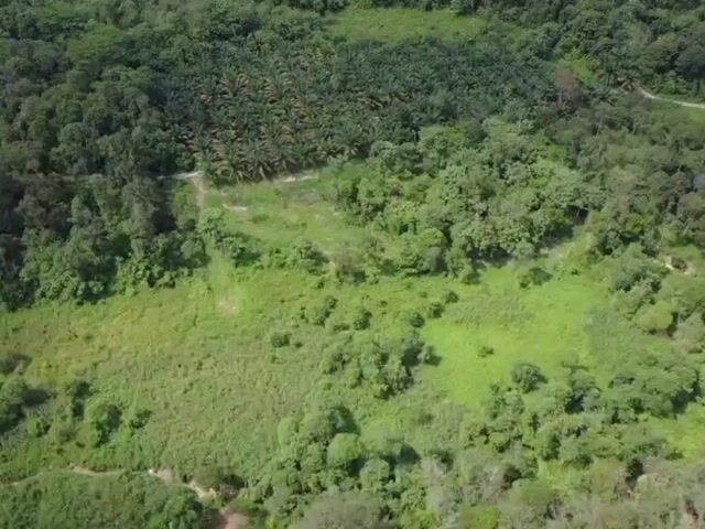 Video Image 1