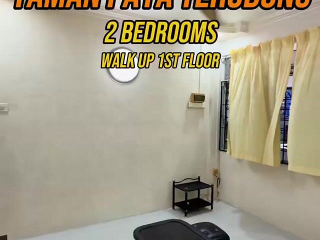 Video Image 1