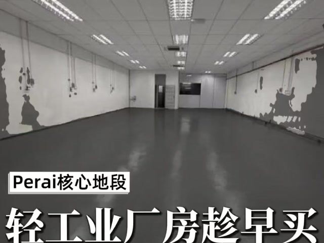 Video Image 1