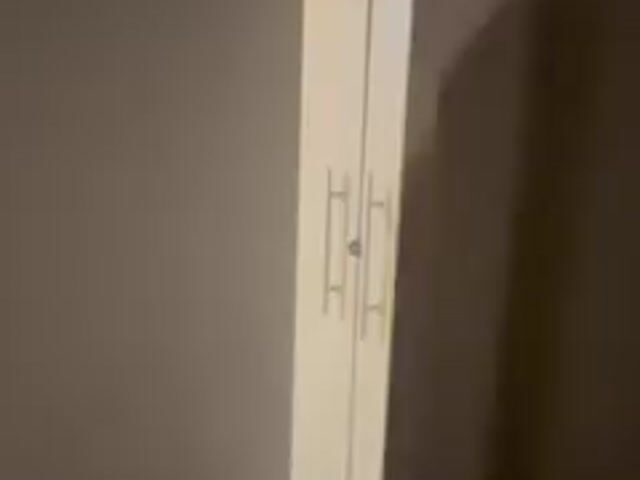 Video Image 1