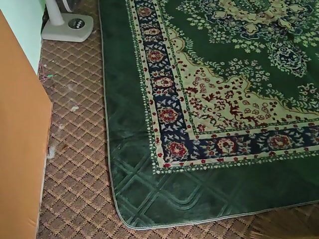 Video Image 1