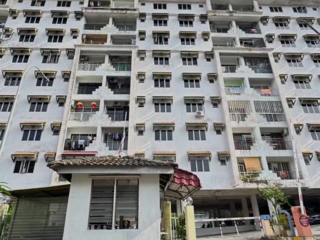 Video Image 1