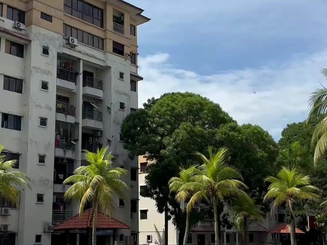 Video Image 1