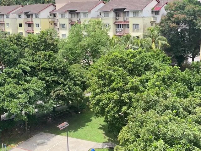 Video Image 1