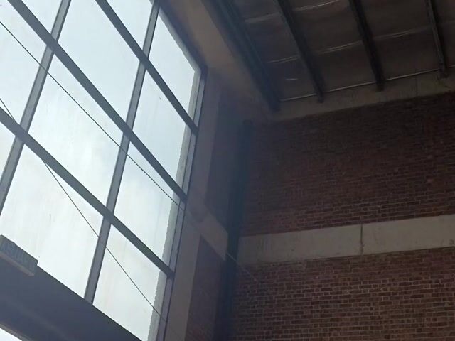 Video Image 1