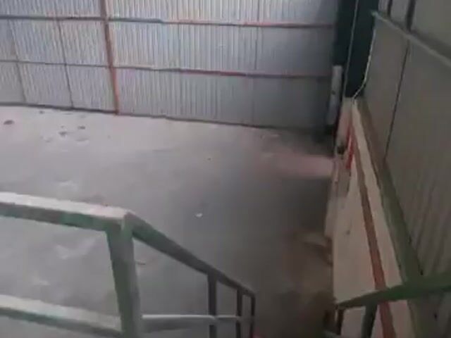Video Image 1