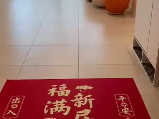 Video Image 1