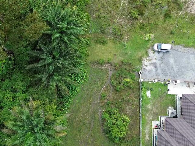 Video Image 1