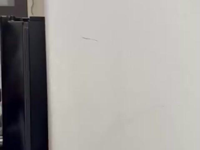 Video Image 1