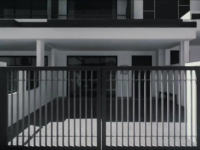 Video Image 1