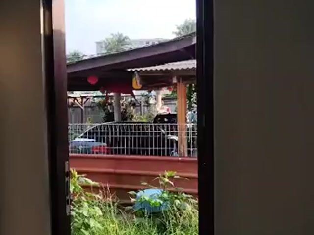 Video Image 1