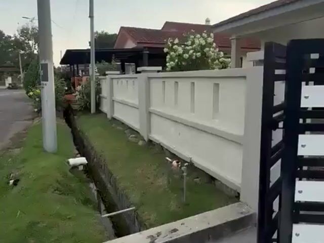 Video Image 1