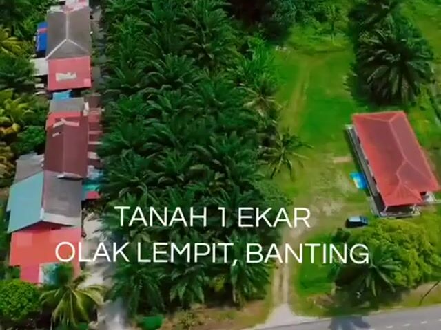 Video Image 1