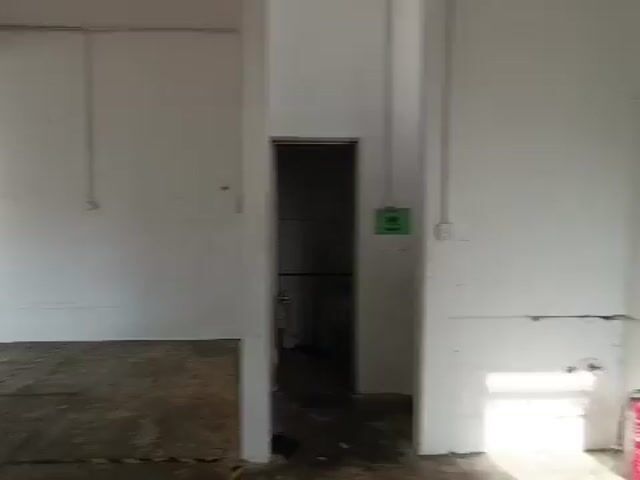 Video Image 1