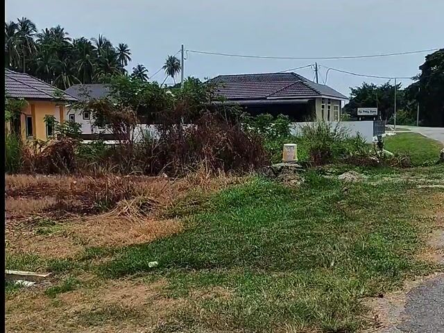Video Image 1
