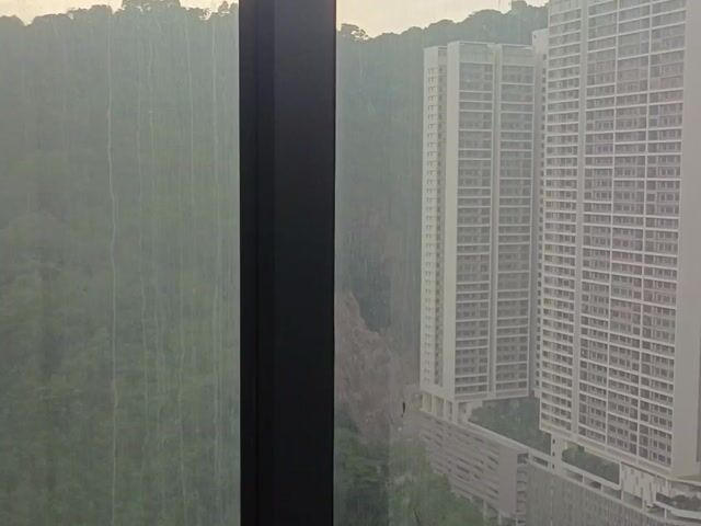 Video Image 1
