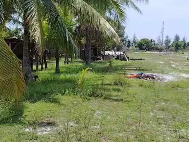 Video Image 1