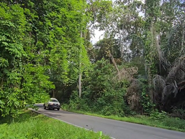 Video Image 1