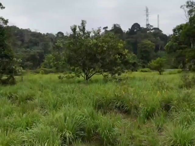 Video Image 1