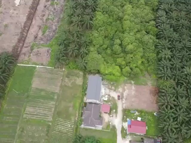 Video Image 1