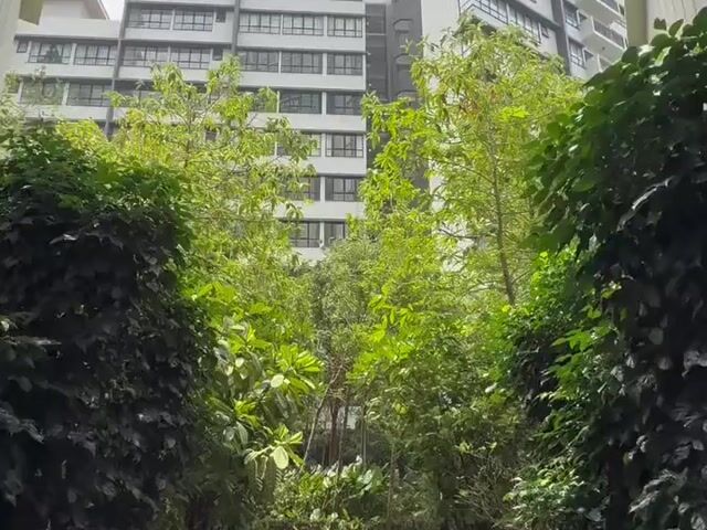 Video Image 1