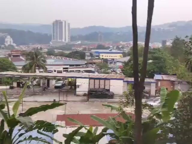 Video Image 1
