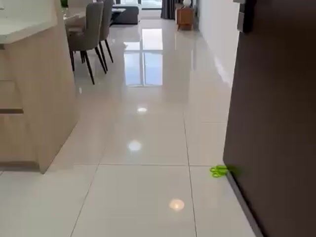 Video Image 1