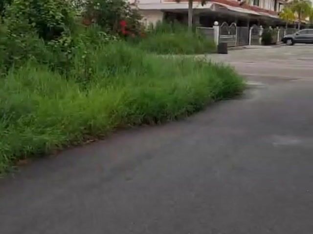 Video Image 1