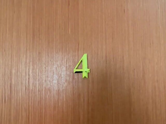 Video Image 1