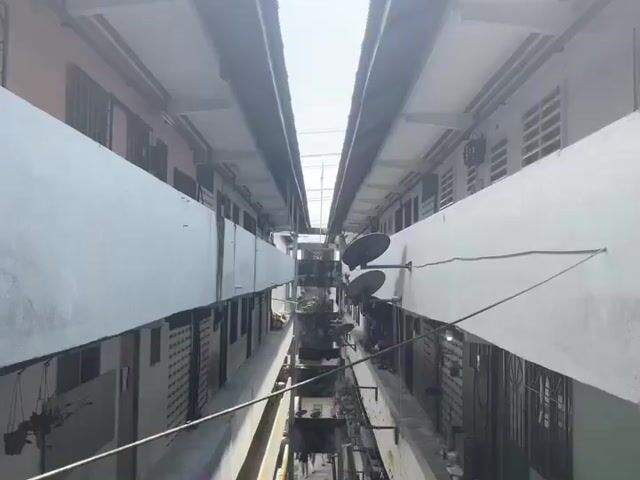 Video Image 1