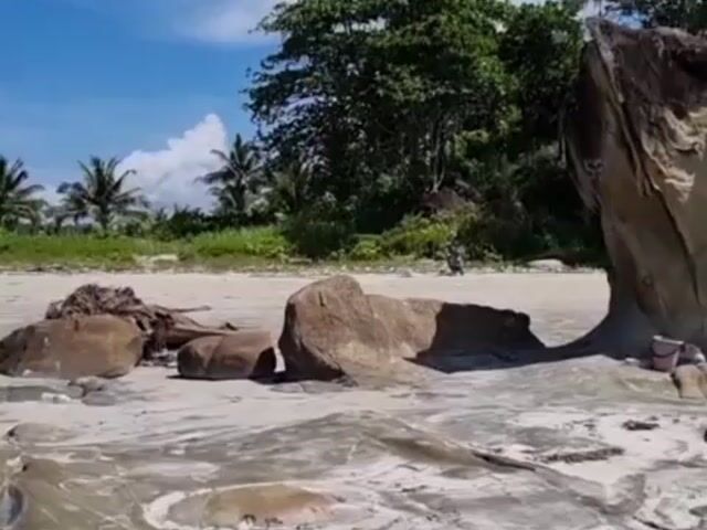 Video Image 1