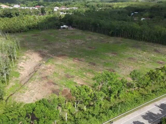 Video Image 1