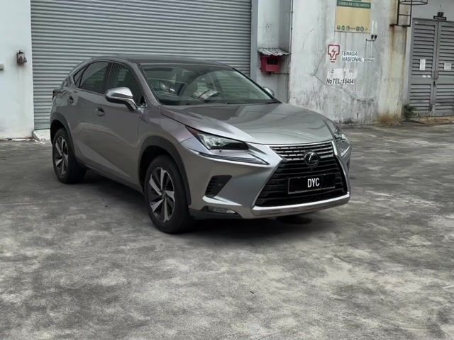 2019 Lexus NX300 2.0 URBAN (A) - 1