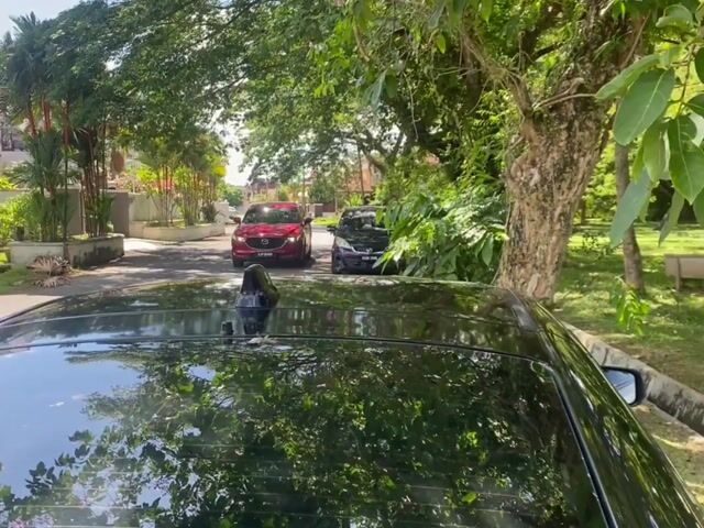 Video Image 1