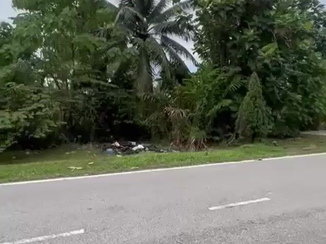Video Image 1