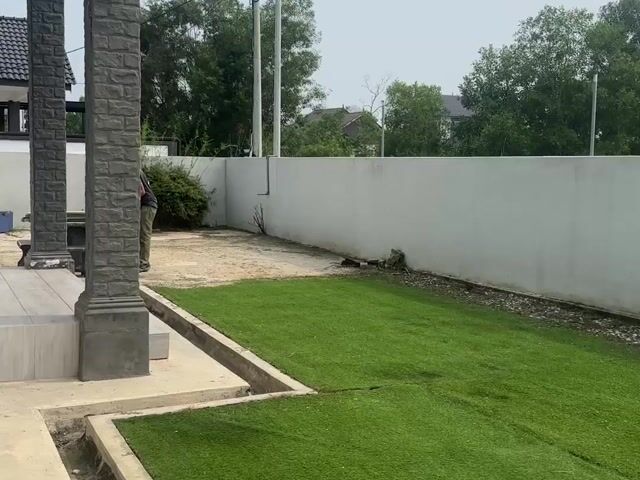 Video Image 1