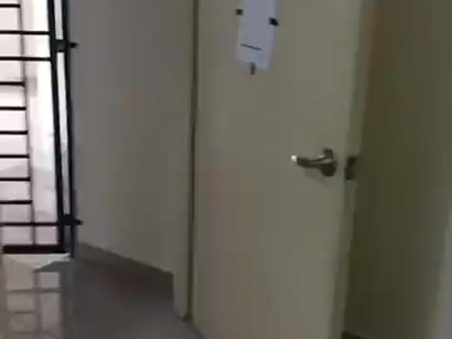 Video Image 1