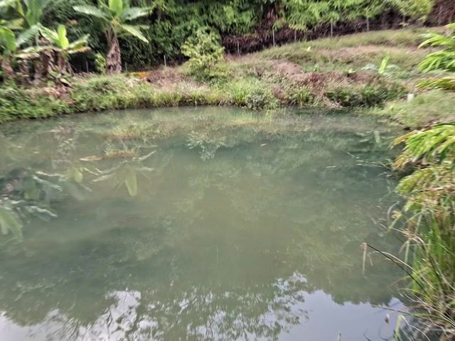 Video Image 1