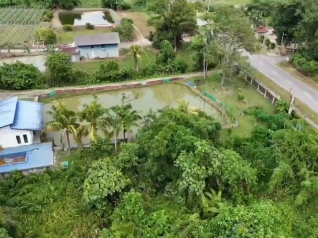 Video Image 1