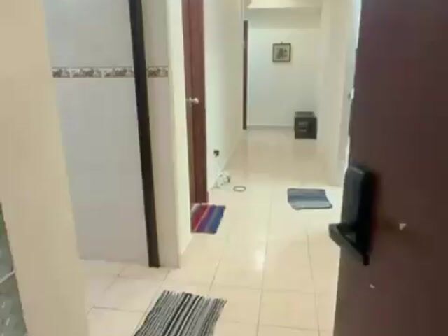 Video Image 1