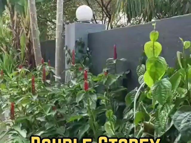 Video Image 1