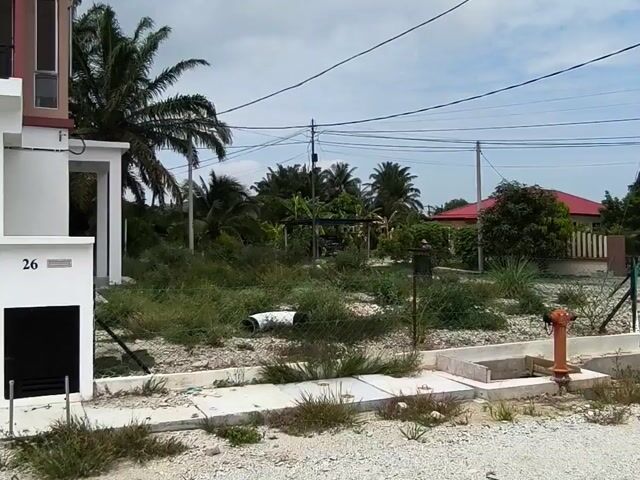 Video Image 1