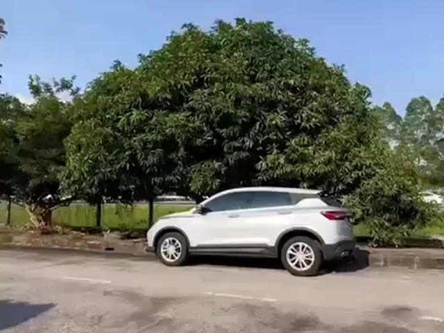 Video Image 1