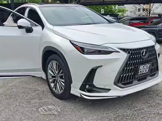 2023 Lexus NX250 2.5 LUXURY (A) GRADE 5A (PROOF) - 1