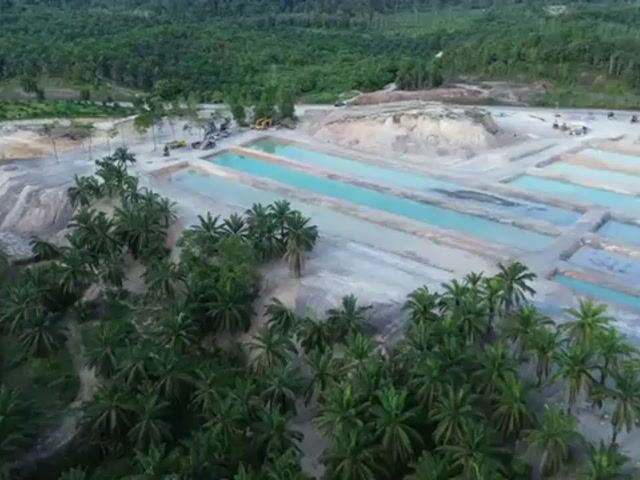 Video Image 1