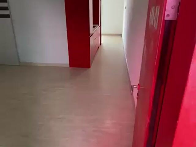 Video Image 1