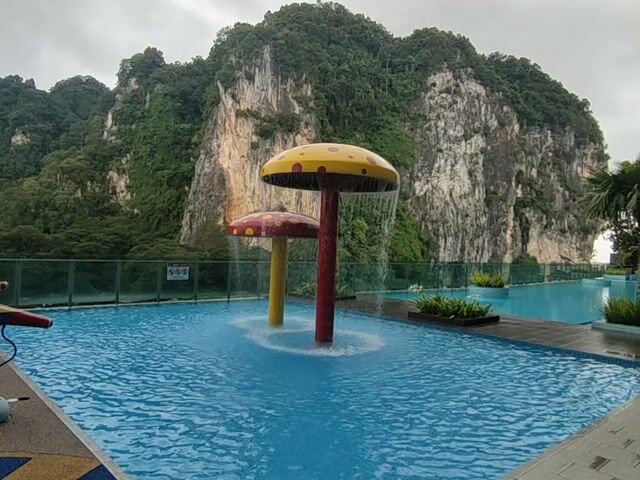 Video Image 1