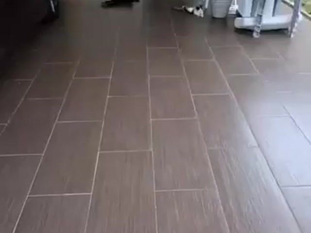 Video Image 1
