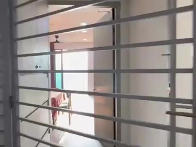 Video Image 1